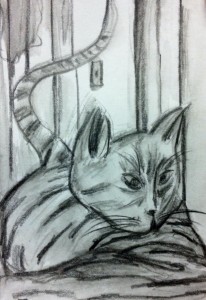 Moose the Cat